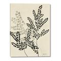 Picture of Shadow Botanical I  _GroupedProduct_Rectangle_Portrait_Canvas_