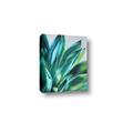 Picture of Extreme Succulent _GroupedProduct_Rectangle_Portrait_Canvas_