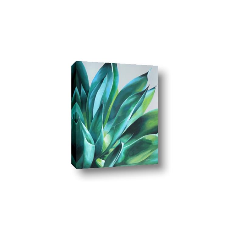 Picture of Extreme Succulent _GroupedProduct_Rectangle_Portrait_Canvas_