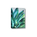 Picture of Extreme Succulent _GroupedProduct_Rectangle_Portrait_Canvas_