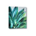 Picture of Extreme Succulent _GroupedProduct_Rectangle_Portrait_Canvas_