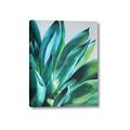 Picture of Extreme Succulent _GroupedProduct_Rectangle_Portrait_Canvas_