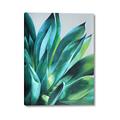 Picture of Extreme Succulent _GroupedProduct_Rectangle_Portrait_Canvas_