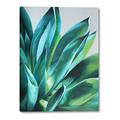 Picture of Extreme Succulent _GroupedProduct_Rectangle_Portrait_Canvas_
