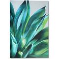 Picture of Extreme Succulent _GroupedProduct_Rectangle_Portrait_Canvas_