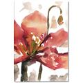 Picture of Red Poppies II _GroupedProduct_Rectangle_Portrait_Canvas_