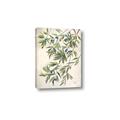 Picture of Hanging Leaves _GroupedProduct_Rectangle_Portrait_Canvas_