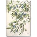 Picture of Hanging Leaves _GroupedProduct_Rectangle_Portrait_Canvas_