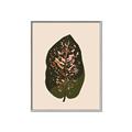 Picture of Color Block Leaves I  _GroupedProduct_Rectangle_Portrait_Canvas_Framed_