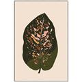 Picture of Color Block Leaves I  _GroupedProduct_Rectangle_Portrait_Canvas_Framed_