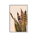 Picture of Color Block Leaves V _GroupedProduct_Rectangle_Portrait_Canvas_Framed_