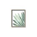 Picture of Tropical Leaf I  _GroupedProduct_Rectangle_Portrait_Canvas_Framed_
