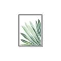 Picture of Tropical Leaf I  _GroupedProduct_Rectangle_Portrait_Canvas_Framed_