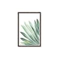 Picture of Tropical Leaf I  _GroupedProduct_Rectangle_Portrait_Canvas_Framed_