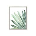 Picture of Tropical Leaf I  _GroupedProduct_Rectangle_Portrait_Canvas_Framed_