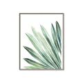 Picture of Tropical Leaf I  _GroupedProduct_Rectangle_Portrait_Canvas_Framed_