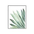Picture of Tropical Leaf I  _GroupedProduct_Rectangle_Portrait_Canvas_Framed_