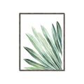 Picture of Tropical Leaf I  _GroupedProduct_Rectangle_Portrait_Canvas_Framed_