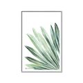 Picture of Tropical Leaf I  _GroupedProduct_Rectangle_Portrait_Canvas_Framed_