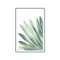 Picture of Tropical Leaf I  _GroupedProduct_Rectangle_Portrait_Canvas_Framed_