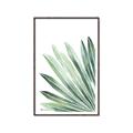 Picture of Tropical Leaf I  _GroupedProduct_Rectangle_Portrait_Canvas_Framed_