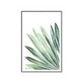 Picture of Tropical Leaf I  _GroupedProduct_Rectangle_Portrait_Canvas_Framed_