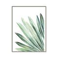 Picture of Tropical Leaf I  _GroupedProduct_Rectangle_Portrait_Canvas_Framed_