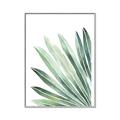 Picture of Tropical Leaf I  _GroupedProduct_Rectangle_Portrait_Canvas_Framed_