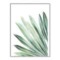 Picture of Tropical Leaf I  _GroupedProduct_Rectangle_Portrait_Canvas_Framed_