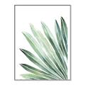 Picture of Tropical Leaf I  _GroupedProduct_Rectangle_Portrait_Canvas_Framed_