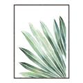 Picture of Tropical Leaf I  _GroupedProduct_Rectangle_Portrait_Canvas_Framed_