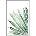 Picture of Tropical Leaf I  _GroupedProduct_Rectangle_Portrait_Canvas_Framed_