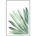 Picture of Tropical Leaf I  _GroupedProduct_Rectangle_Portrait_Canvas_Framed_
