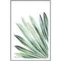Picture of Tropical Leaf I  _GroupedProduct_Rectangle_Portrait_Canvas_Framed_
