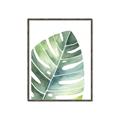 Picture of Tropical Leaf II _GroupedProduct_Rectangle_Portrait_Canvas_Framed_