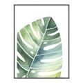 Picture of Tropical Leaf II _GroupedProduct_Rectangle_Portrait_Canvas_Framed_