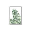 Picture of Tropical Leaf III _GroupedProduct_Rectangle_Portrait_Canvas_Framed_