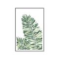 Picture of Tropical Leaf III _GroupedProduct_Rectangle_Portrait_Canvas_Framed_