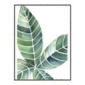 Picture of Tropical Leaf IV _GroupedProduct_Rectangle_Portrait_Canvas_Framed_
