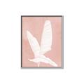 Picture of Pink Palm II _GroupedProduct_Rectangle_Portrait_Canvas_Framed_