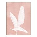 Picture of Pink Palm II _GroupedProduct_Rectangle_Portrait_Canvas_Framed_