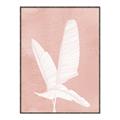 Picture of Pink Palm II _GroupedProduct_Rectangle_Portrait_Canvas_Framed_