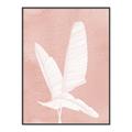 Picture of Pink Palm II _GroupedProduct_Rectangle_Portrait_Canvas_Framed_