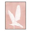 Picture of Pink Palm II _GroupedProduct_Rectangle_Portrait_Canvas_Framed_