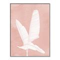 Picture of Pink Palm II _GroupedProduct_Rectangle_Portrait_Canvas_Framed_
