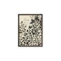 Picture of Shadow Garden I  _GroupedProduct_Rectangle_Portrait_Canvas_Framed_