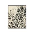 Picture of Shadow Garden I  _GroupedProduct_Rectangle_Portrait_Canvas_Framed_