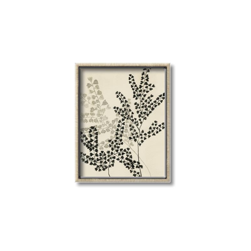 Picture of Shadow Botanical I  _GroupedProduct_Rectangle_Portrait_Canvas_Framed_