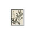 Picture of Shadow Botanical I  _GroupedProduct_Rectangle_Portrait_Canvas_Framed_