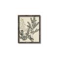 Picture of Shadow Botanical I  _GroupedProduct_Rectangle_Portrait_Canvas_Framed_